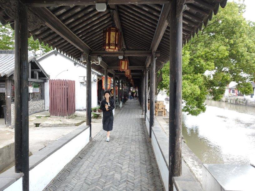 洋葱持续跌价；缅甸玉米主产区农户买不起种子；鹰嘴豆长势良好